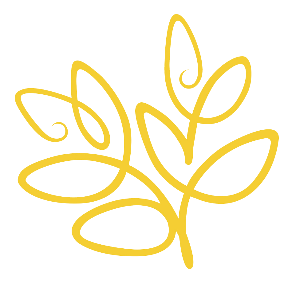 Plookpanya School Logo